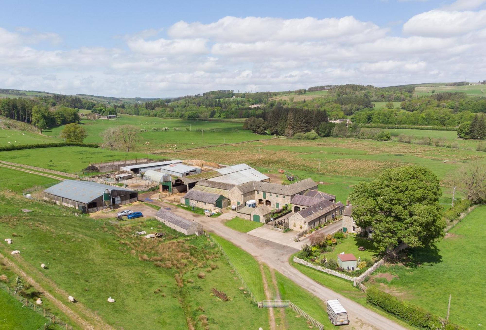 Wydon Farm Bed And Breakfast Haltwhistle Exterior photo