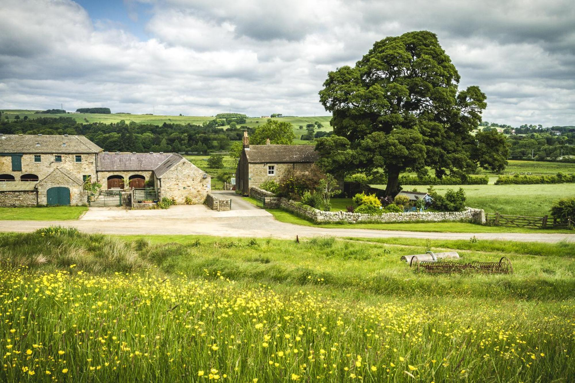 Wydon Farm Bed And Breakfast Haltwhistle Exterior photo